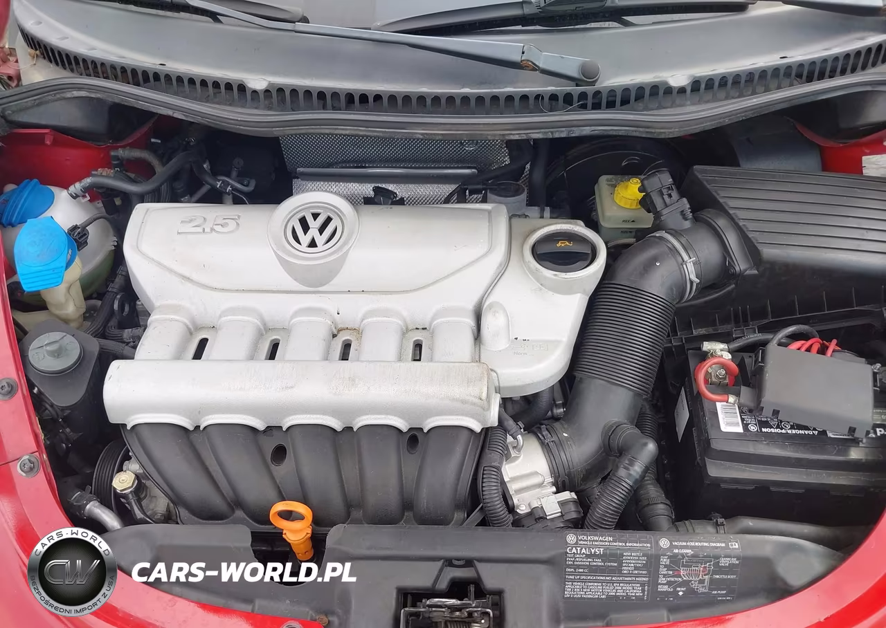2006 Volkswagen New Beetle 2.5 VIN:3VWRF31Y56M312510 - 10