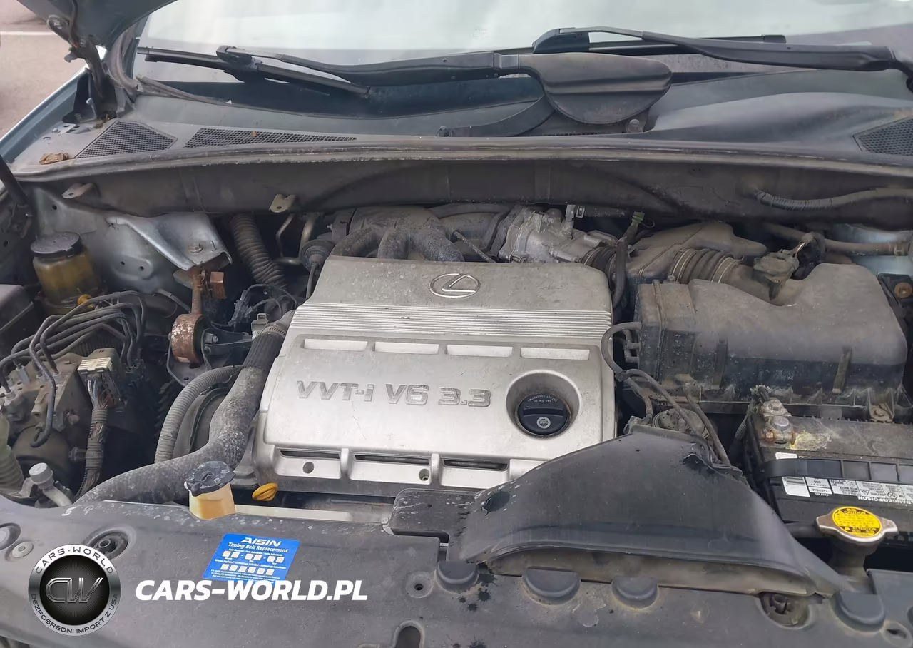 2005 Lexus Rx 330 VIN:2T2GA31U45C031324 - 10