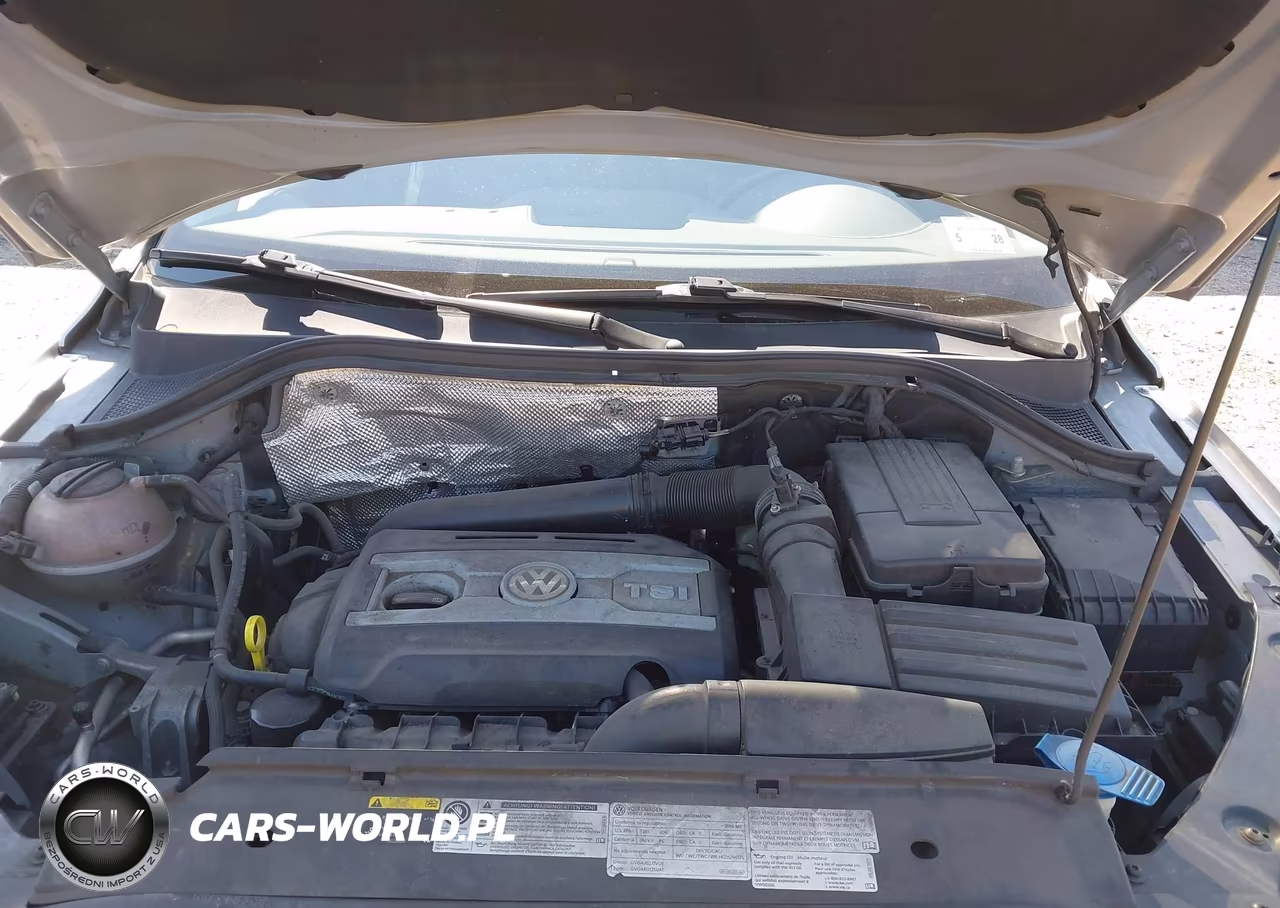 2016 Volkswagen Tiguan S VIN:WVGBV7AX3GW541240 - 10