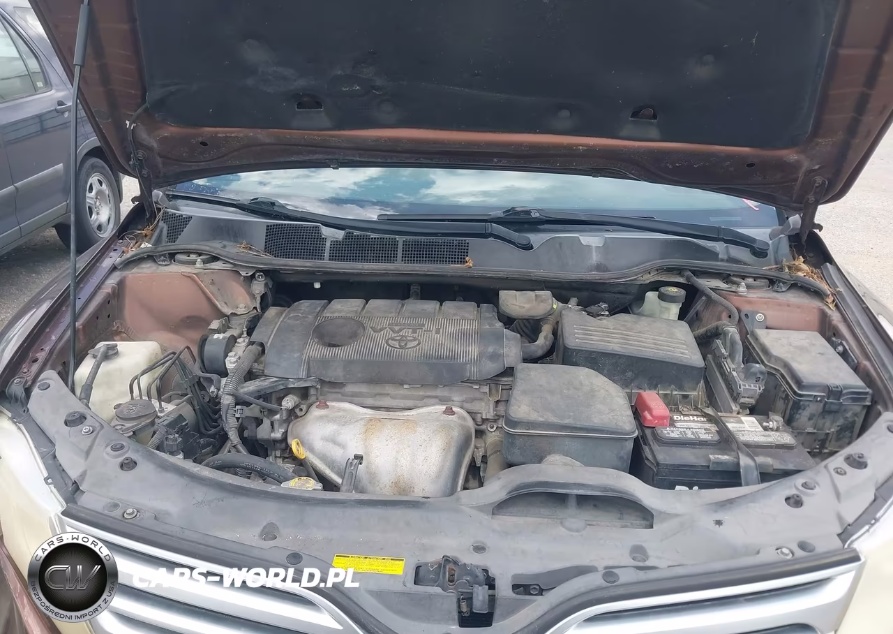 2010 Toyota Venza VIN:4T3ZA3BB1AU027032 - 10