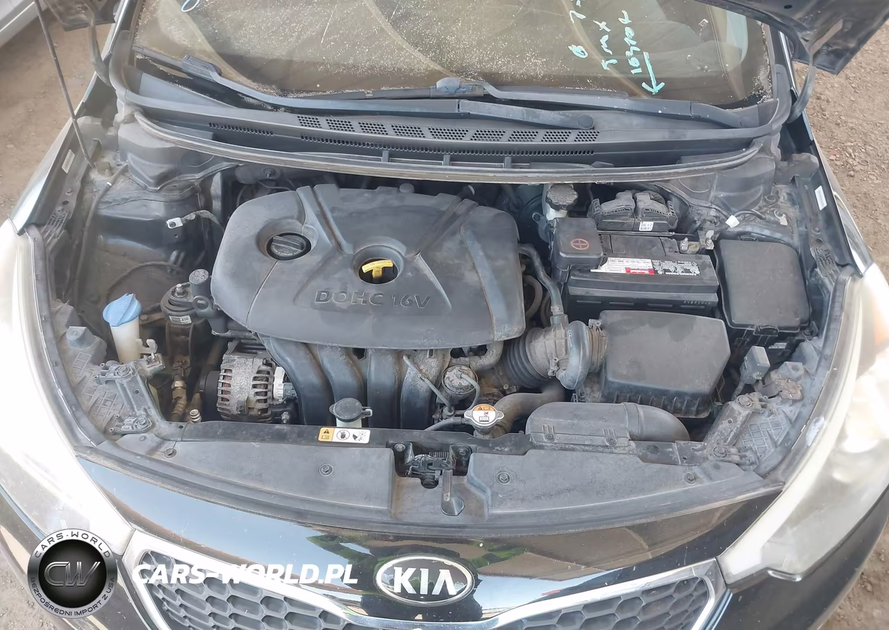 2014 Kia Forte Lx VIN:KNAFK4A67E5163704 - 10
