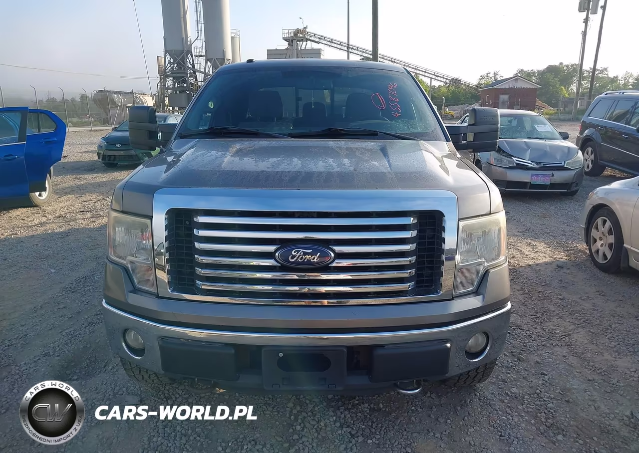 2012 Ford F-150 Xlt VIN:1FTFW1EF8CFA31025 - 12