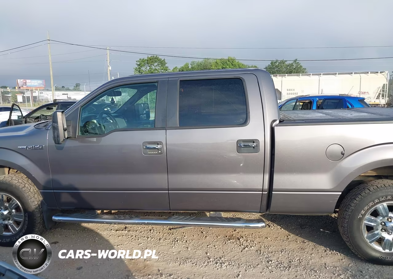 2012 Ford F-150 Xlt VIN:1FTFW1EF8CFA31025 - 14