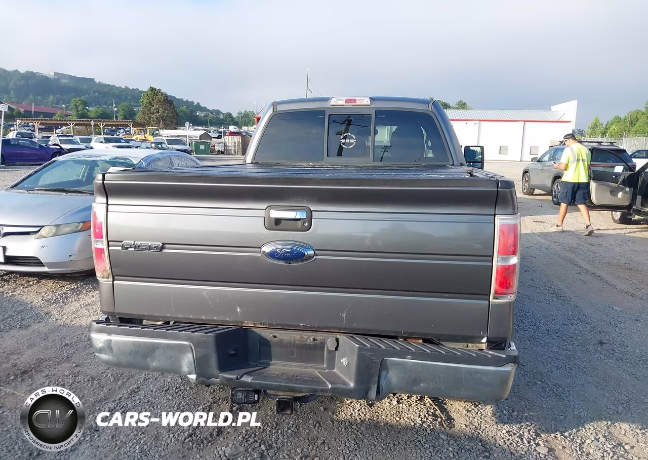 2012 Ford F-150 Xlt VIN:1FTFW1EF8CFA31025 - 16