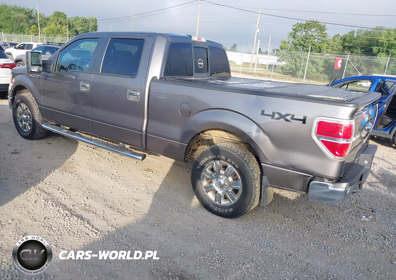 2012 Ford F-150 Xlt VIN:1FTFW1EF8CFA31025 - 3