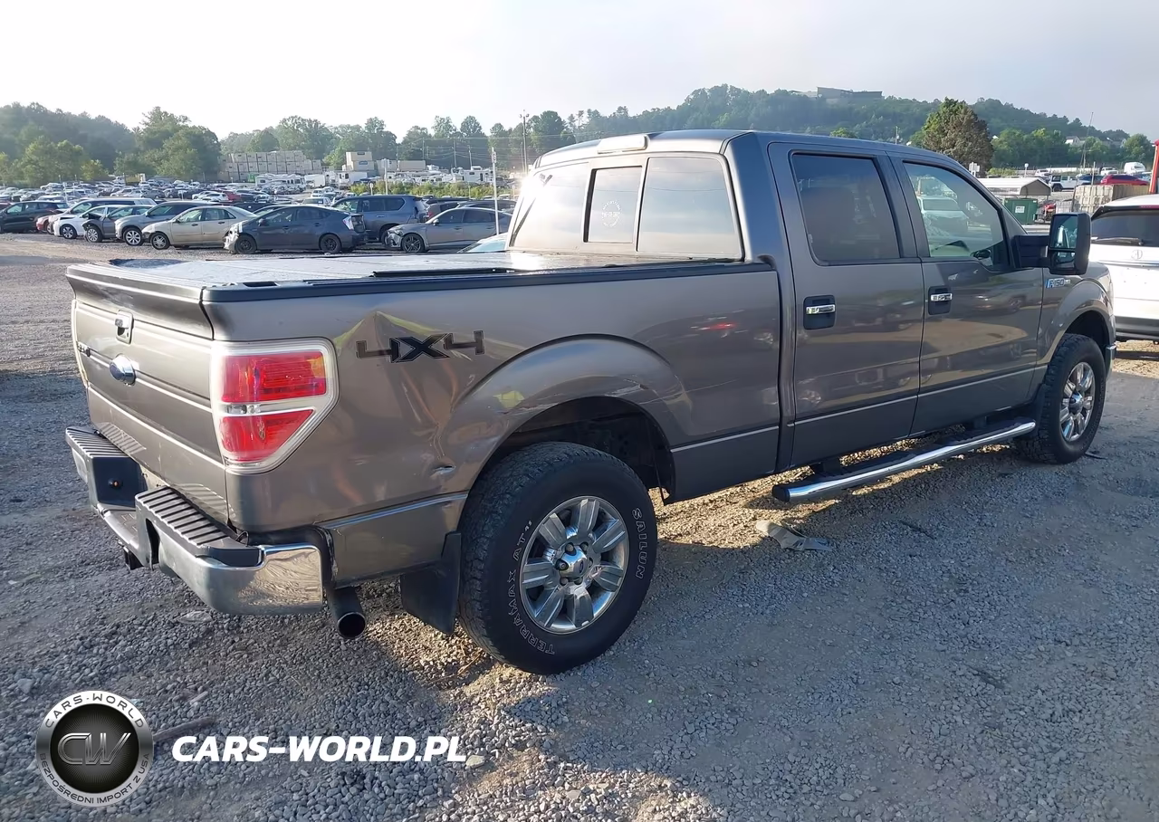 2012 Ford F-150 Xlt VIN:1FTFW1EF8CFA31025 - 4