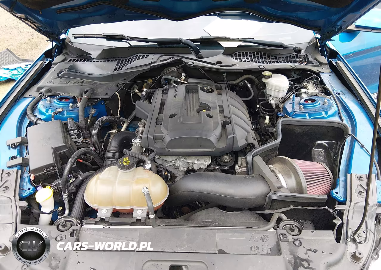 2019 Ford Mustang Ecoboost Premium VIN:1FA6P8TH4K5201269 - 10