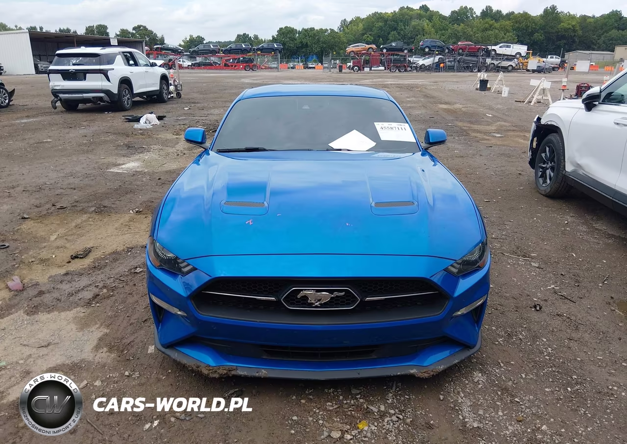 2019 Ford Mustang Ecoboost Premium VIN:1FA6P8TH4K5201269 - 12