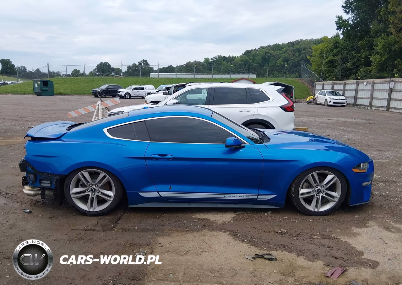 2019 Ford Mustang Ecoboost Premium VIN:1FA6P8TH4K5201269 - 13