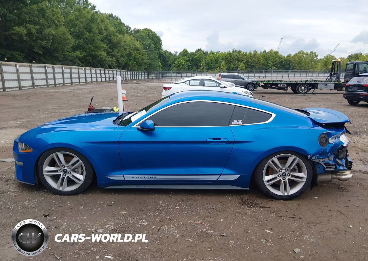 2019 Ford Mustang Ecoboost Premium VIN:1FA6P8TH4K5201269 - 14