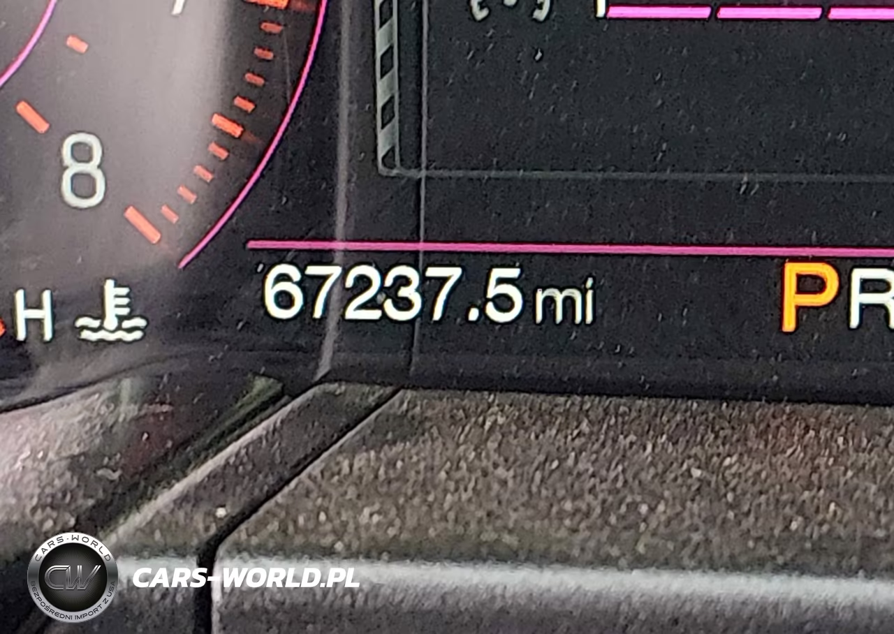 2019 Ford Mustang Ecoboost Premium VIN:1FA6P8TH4K5201269 - 15