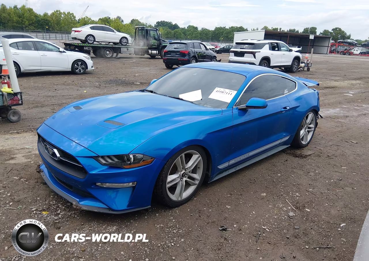 2019 Ford Mustang Ecoboost Premium VIN:1FA6P8TH4K5201269 - 2
