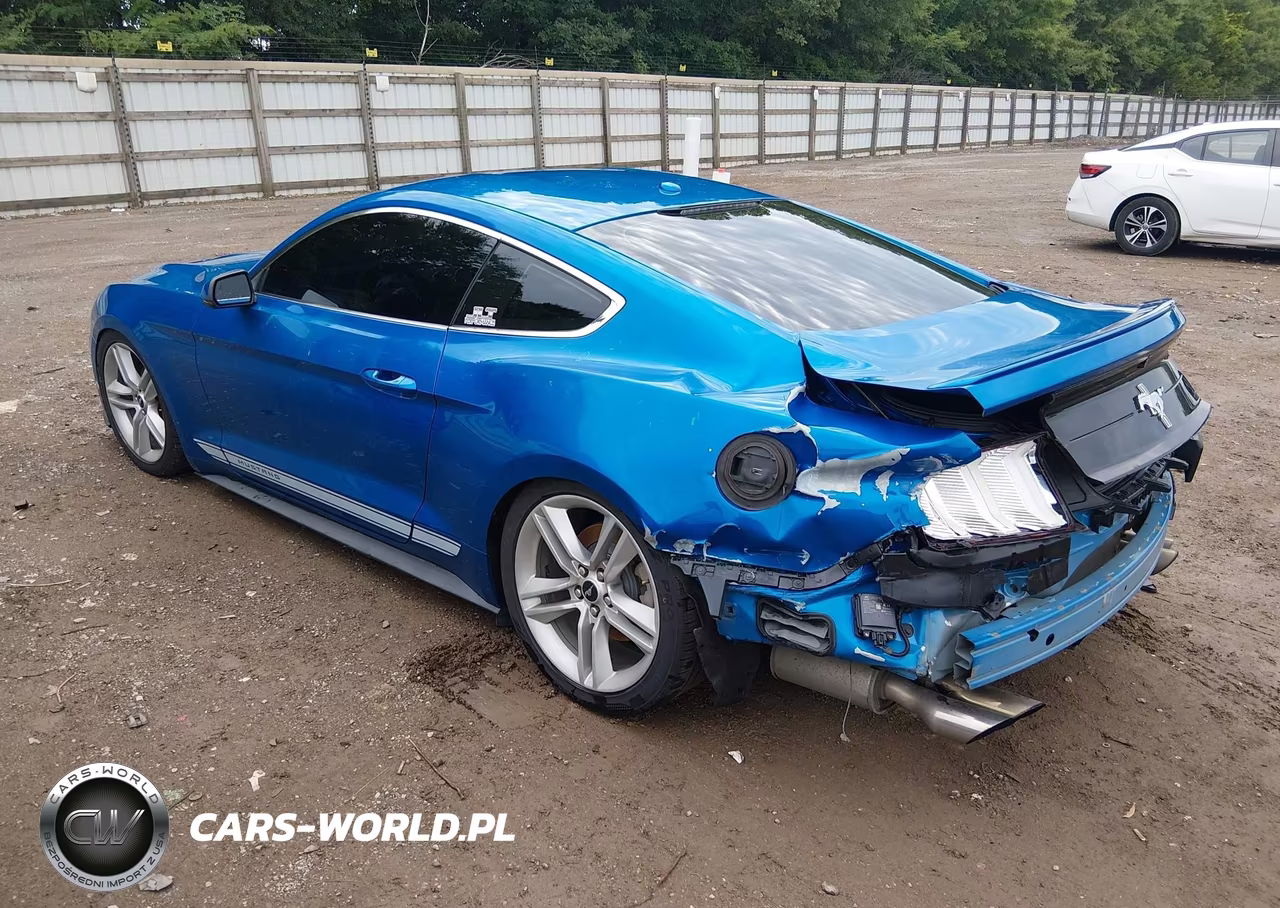 2019 Ford Mustang Ecoboost Premium VIN:1FA6P8TH4K5201269 - 3