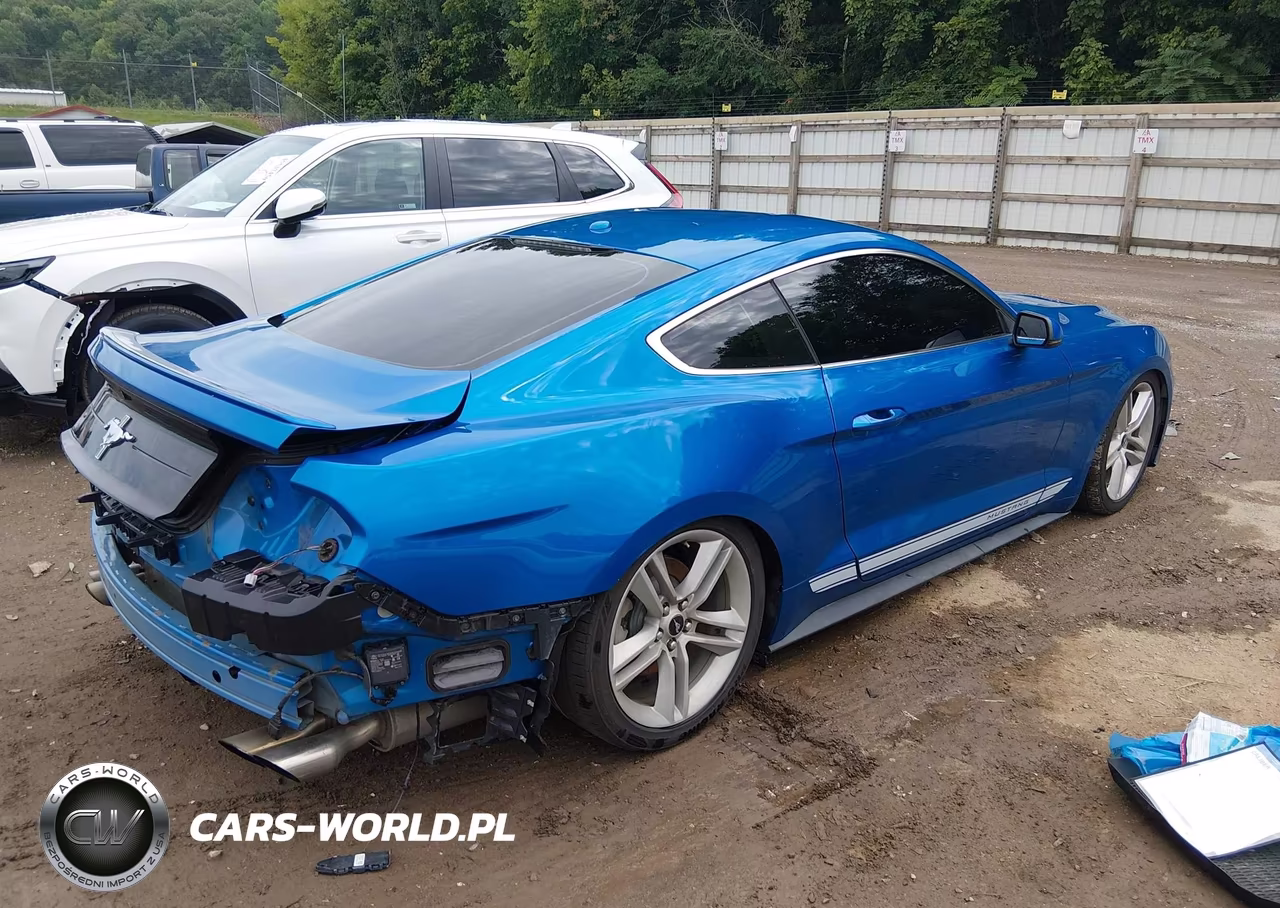 2019 Ford Mustang Ecoboost Premium VIN:1FA6P8TH4K5201269 - 4