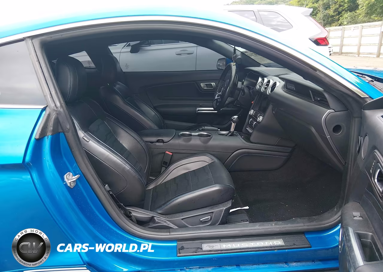 2019 Ford Mustang Ecoboost Premium VIN:1FA6P8TH4K5201269 - 5