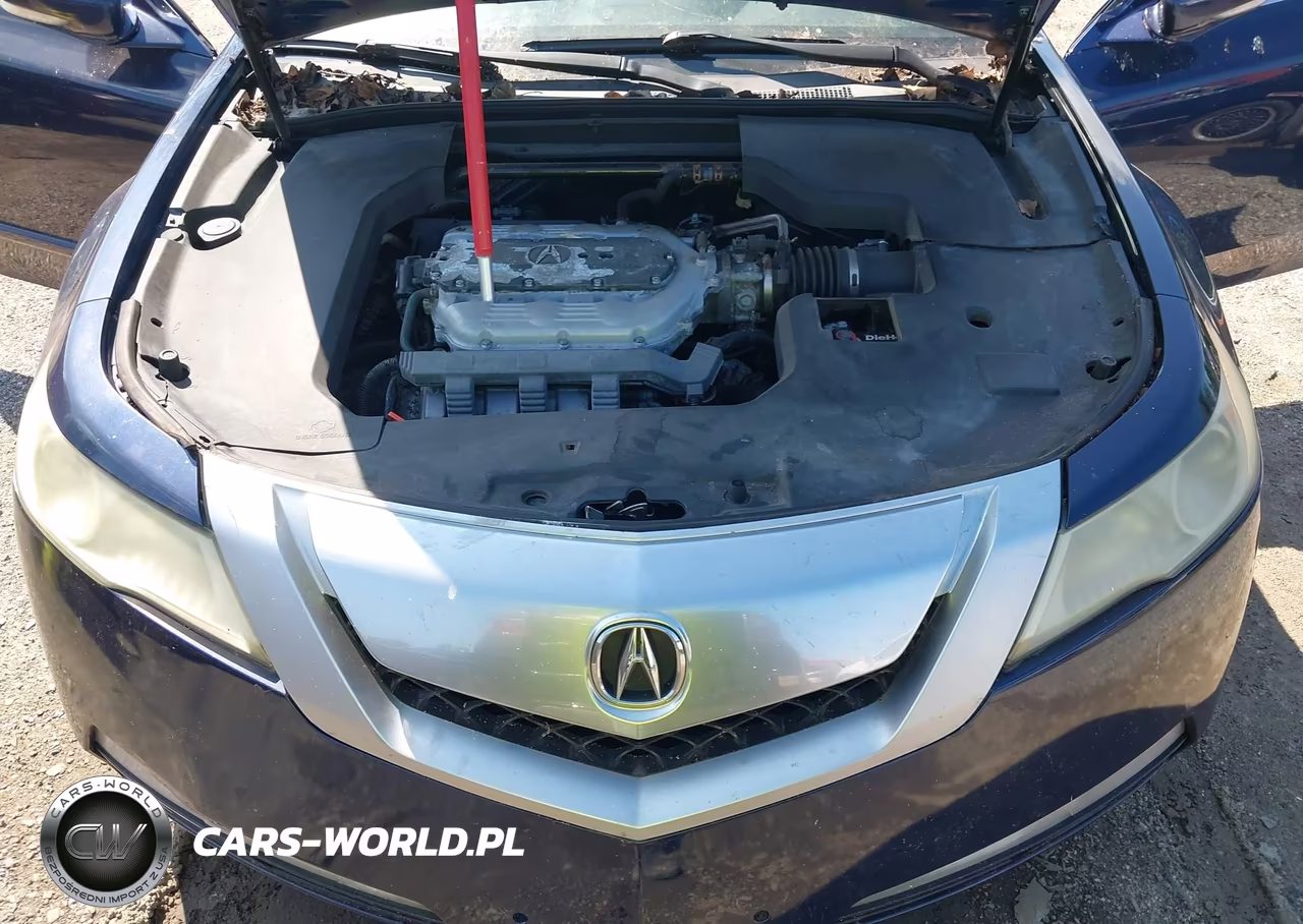 2009 Acura Tl 3.5 VIN:19UUA86229A012391 - 10