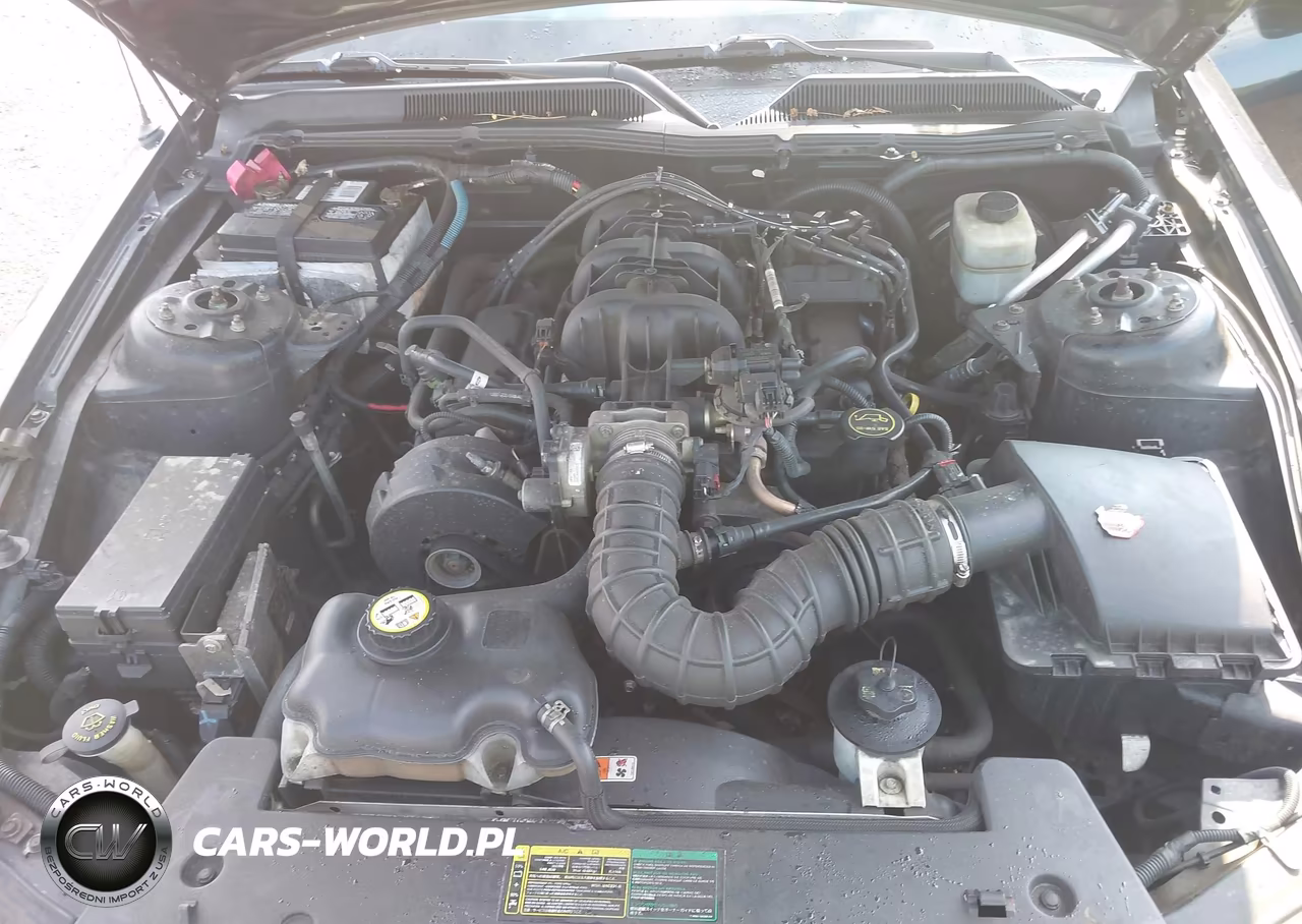 2005 Ford Mustang VIN:1ZVHT84N355192598 - 10