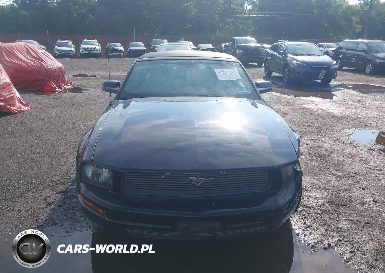 2005 Ford Mustang VIN:1ZVHT84N355192598 - 12