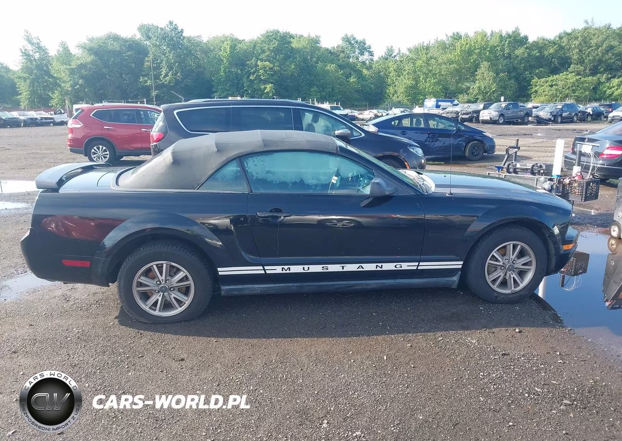 2005 Ford Mustang VIN:1ZVHT84N355192598 - 13