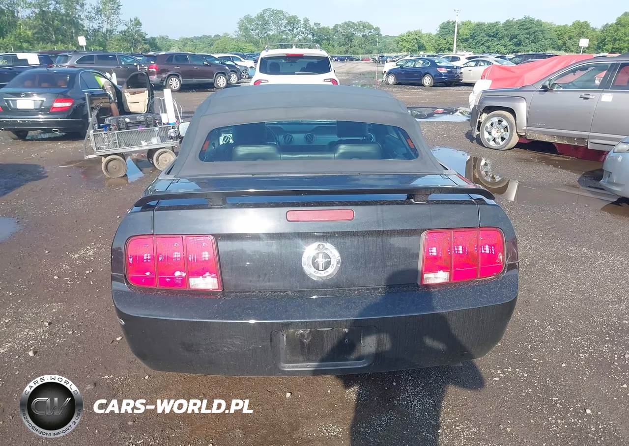 2005 Ford Mustang VIN:1ZVHT84N355192598 - 16