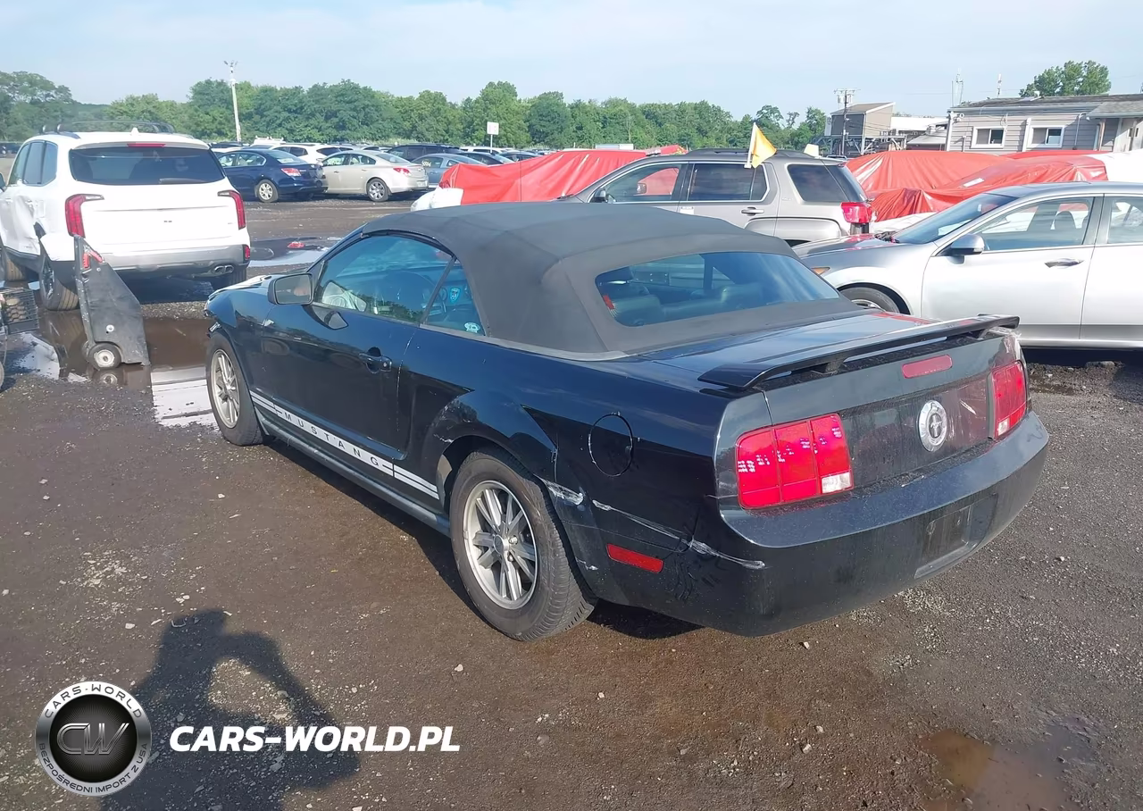 2005 Ford Mustang VIN:1ZVHT84N355192598 - 17