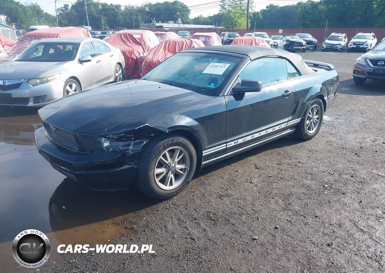 2005 Ford Mustang VIN:1ZVHT84N355192598 - 2