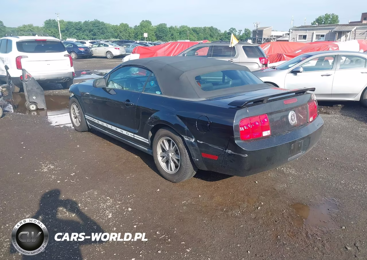 2005 Ford Mustang VIN:1ZVHT84N355192598 - 3