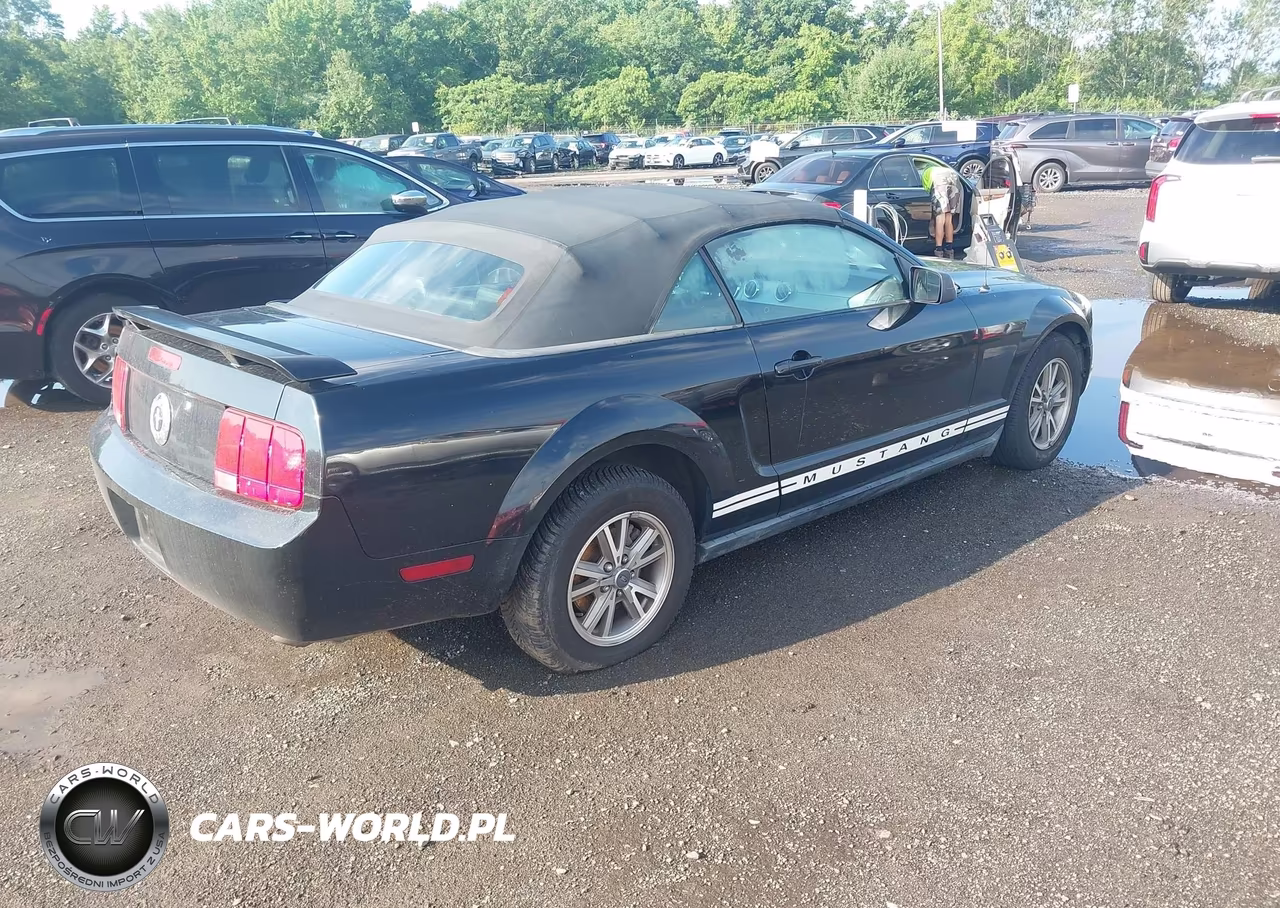 2005 Ford Mustang VIN:1ZVHT84N355192598 - 4