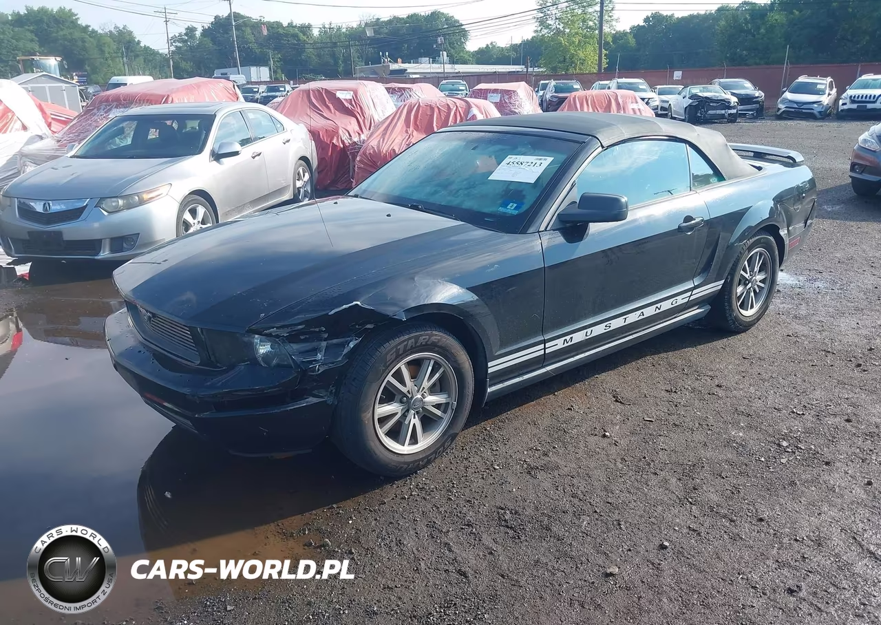 2005 Ford Mustang VIN:1ZVHT84N355192598 - 6