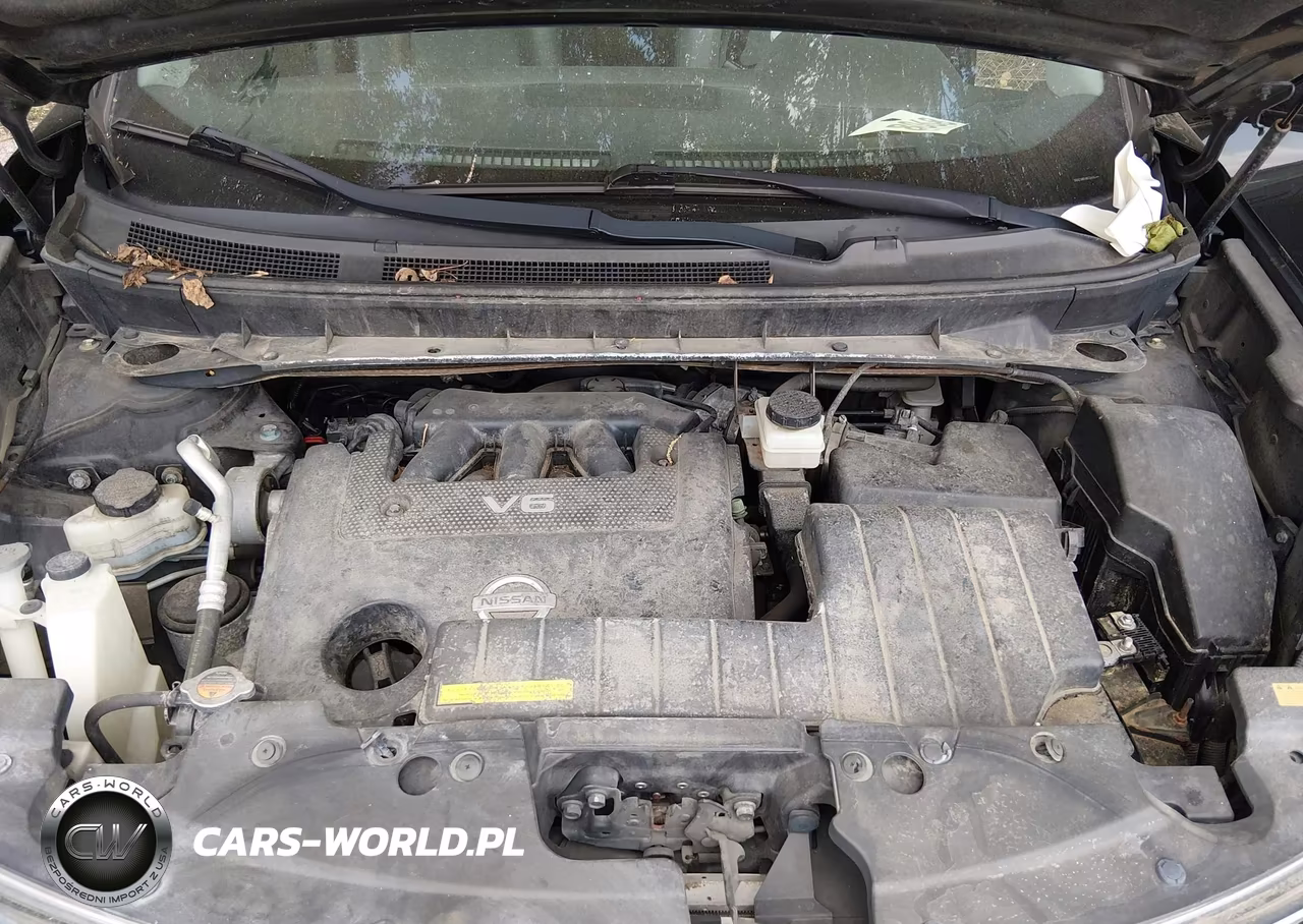 2010 Nissan Murano Le VIN:JN8AZ1MW9AW135446 - 10