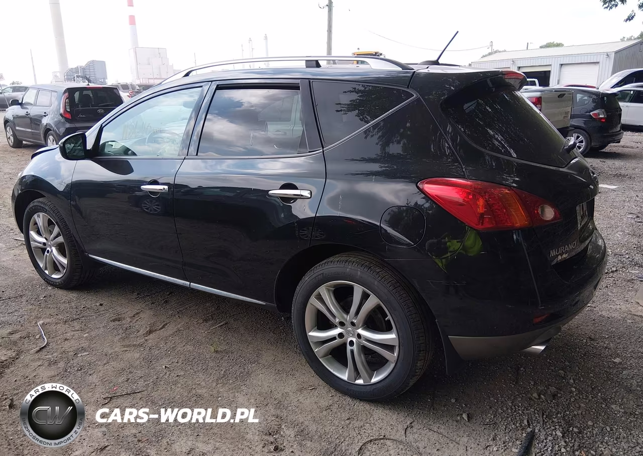 2010 Nissan Murano Le VIN:JN8AZ1MW9AW135446 - 3