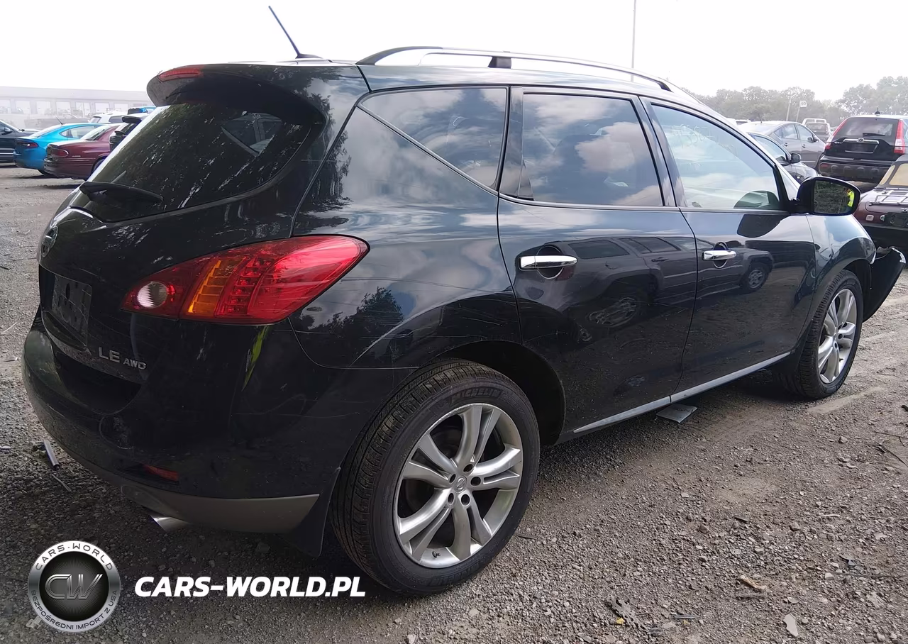 2010 Nissan Murano Le VIN:JN8AZ1MW9AW135446 - 4