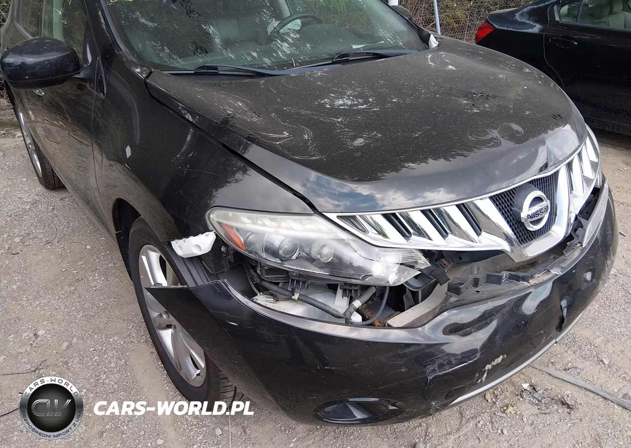 2010 Nissan Murano Le VIN:JN8AZ1MW9AW135446 - 6