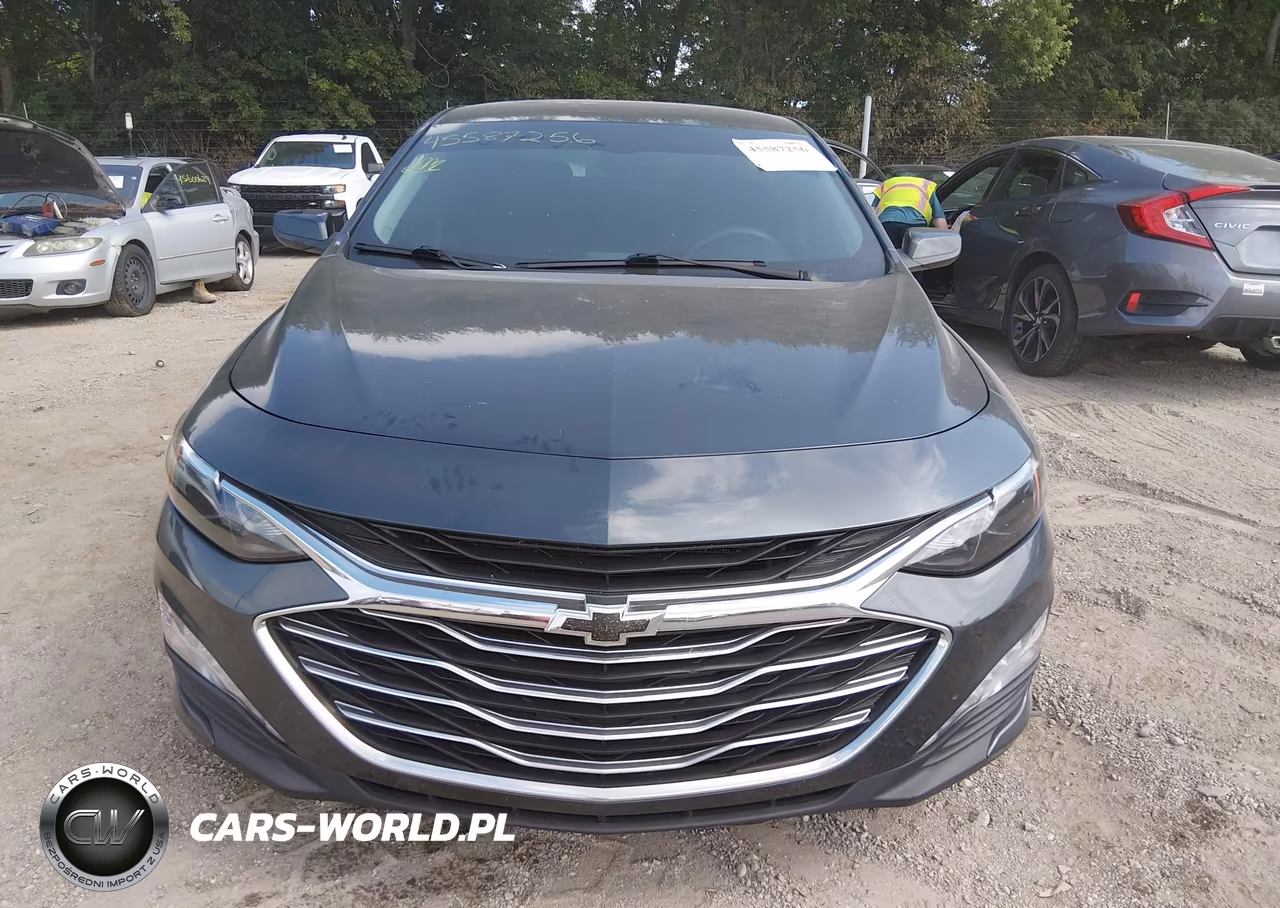 2019 Chevrolet Malibu Lt VIN:1G1ZD5ST1KF120060 - 12