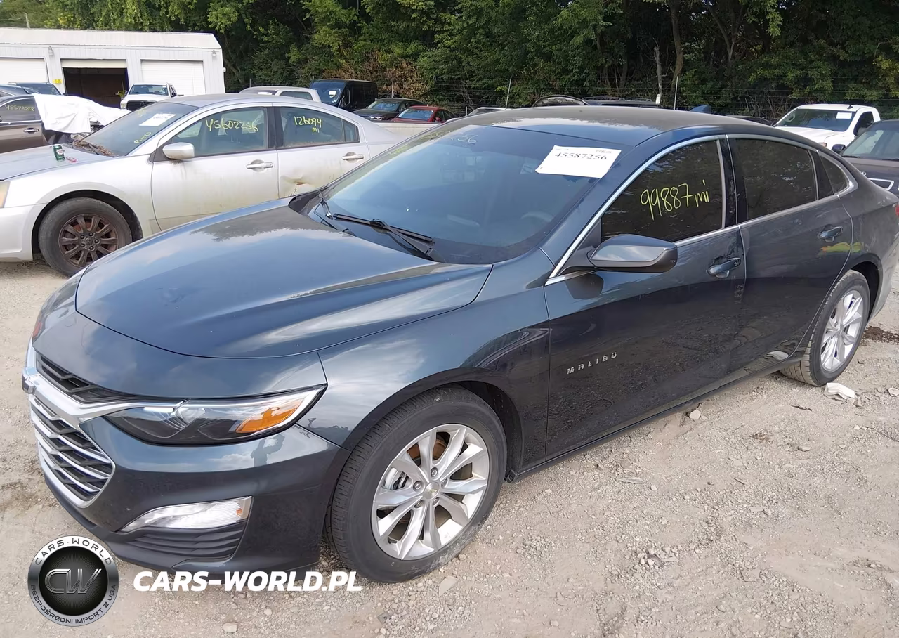 2019 Chevrolet Malibu Lt VIN:1G1ZD5ST1KF120060 - 2