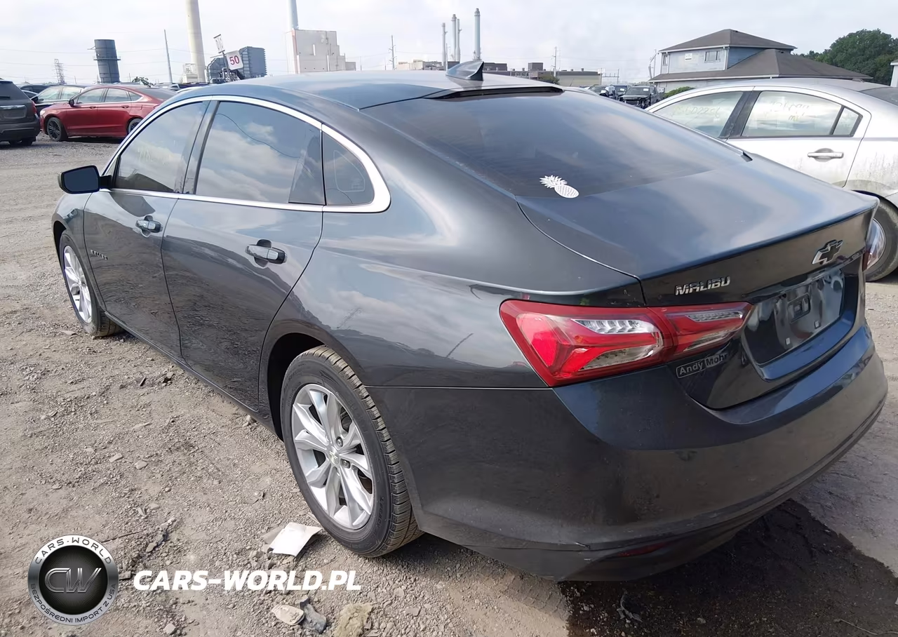 2019 Chevrolet Malibu Lt VIN:1G1ZD5ST1KF120060 - 3