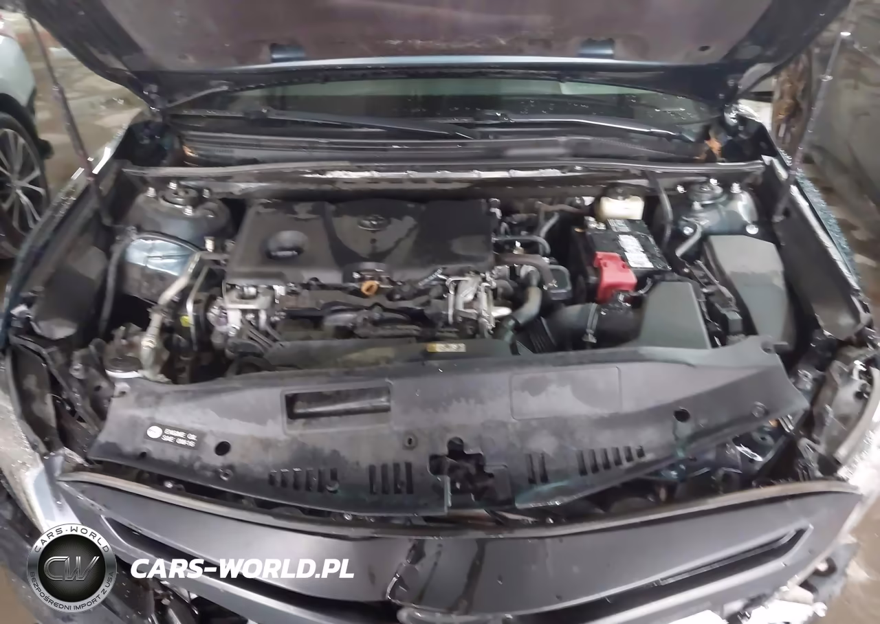 2018 Toyota Camry Se VIN:4T1B11HK4JU667855 - 10
