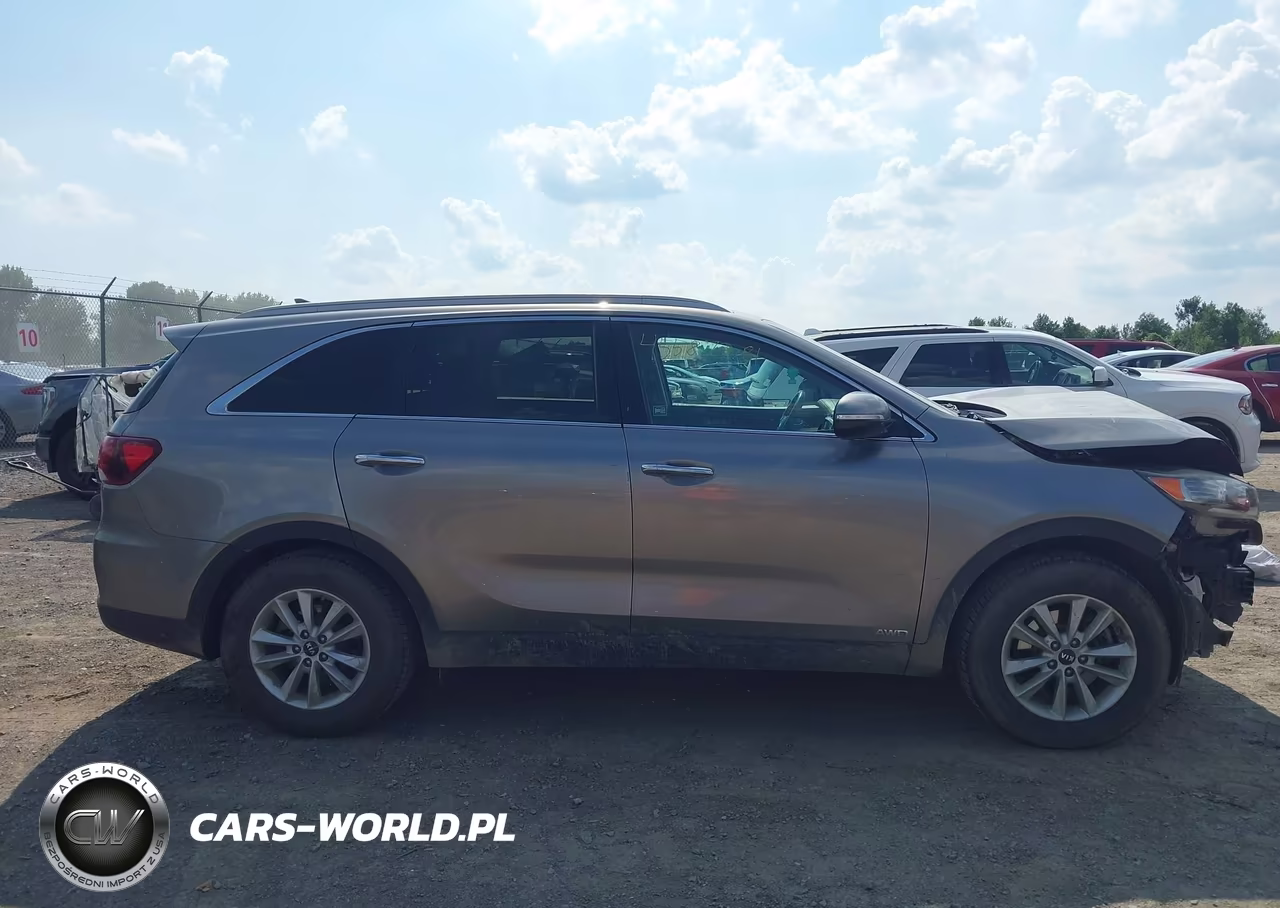 2019 Kia Sorento 2.4L Lx VIN:5XYPGDA3XKG440041 - 14