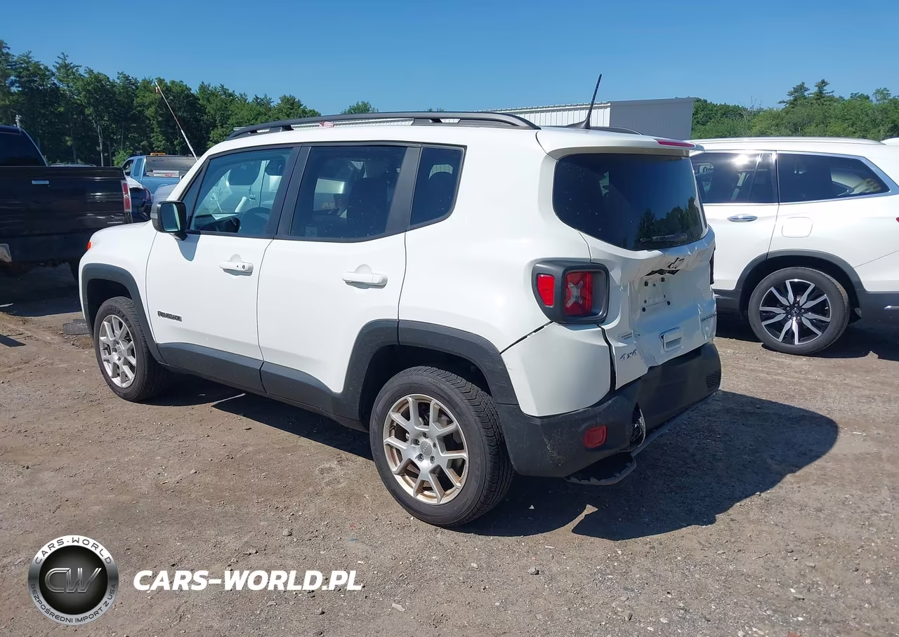 2021 Jeep Renegade Limited 4X4 VIN:ZACNJDD17MPN31996 - 3