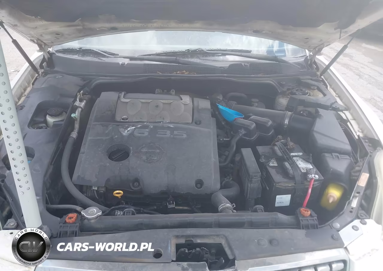 2006 Nissan Maxima 3.5 Se VIN:1N4BA41EX6C801670 - 10