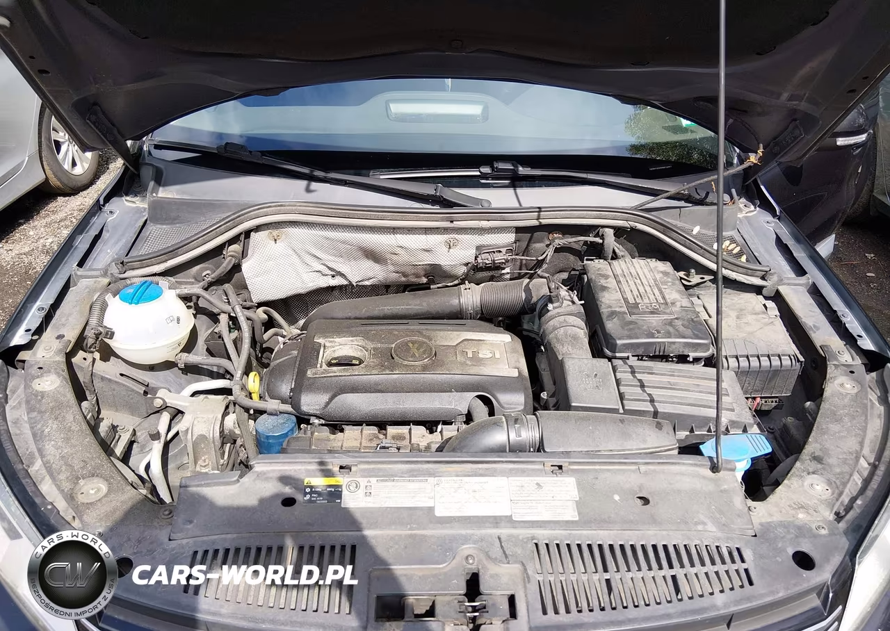 2014 Volkswagen Tiguan S VIN:WVGBV3AX0EW614957 - 10