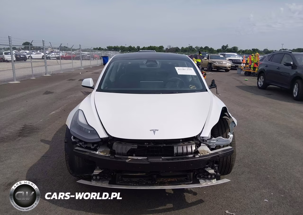 2023 Tesla Model 3 Rear-Wheel Drive VIN:5YJ3E1EA1PF511346 - 12