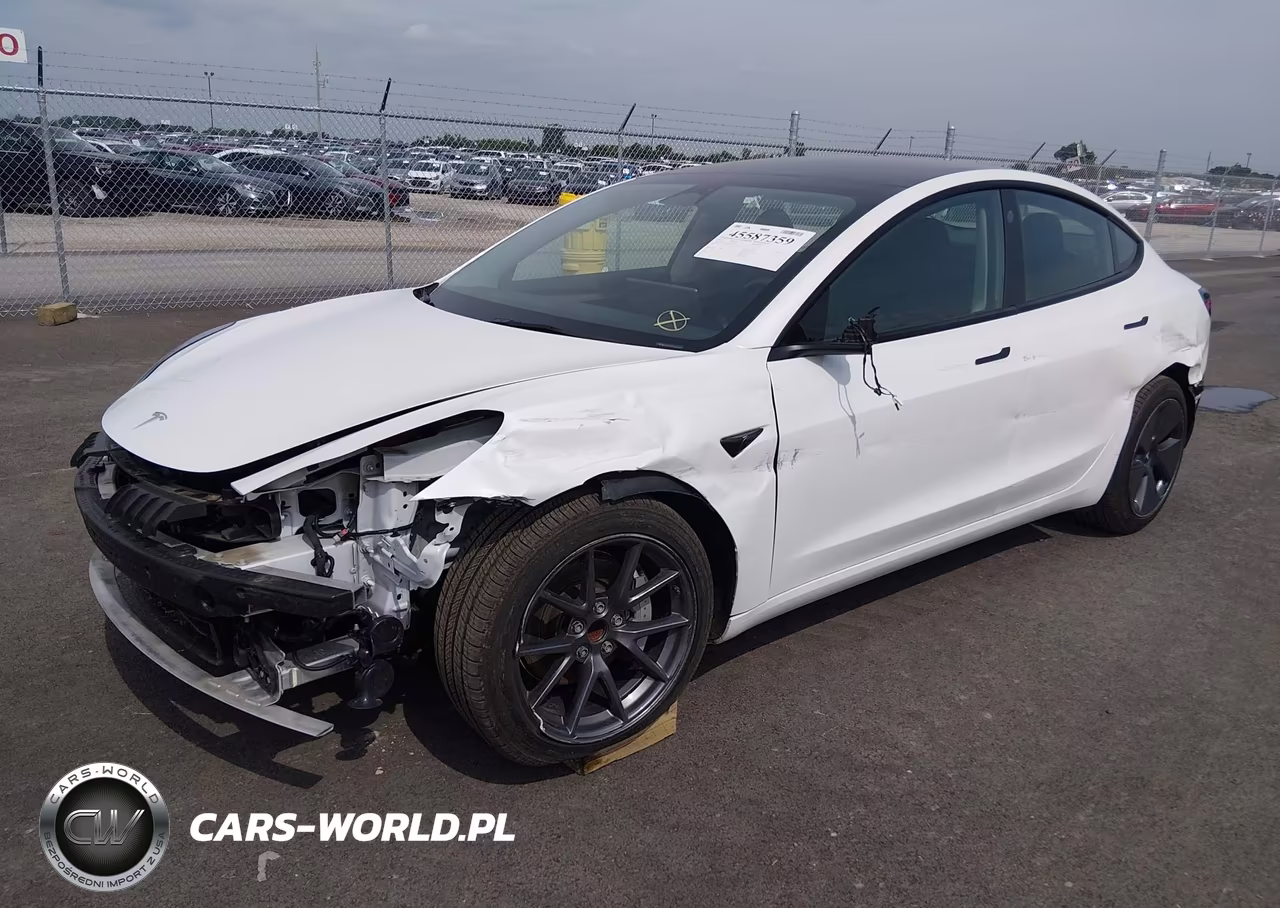 2023 Tesla Model 3 Rear-Wheel Drive VIN:5YJ3E1EA1PF511346 - 2