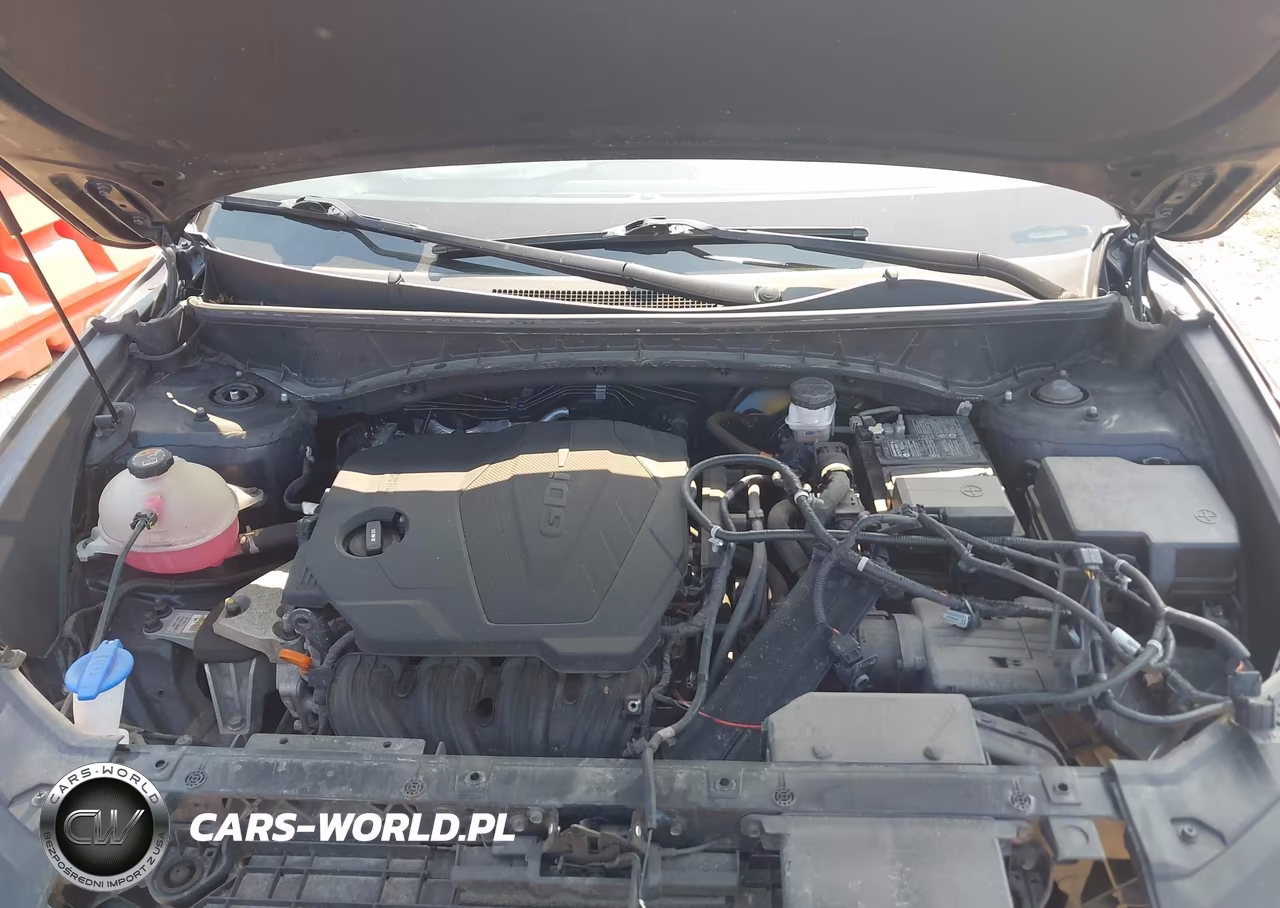 2023 Hyundai Tucson Limited VIN:5NMJECAE6PH194464 - 10