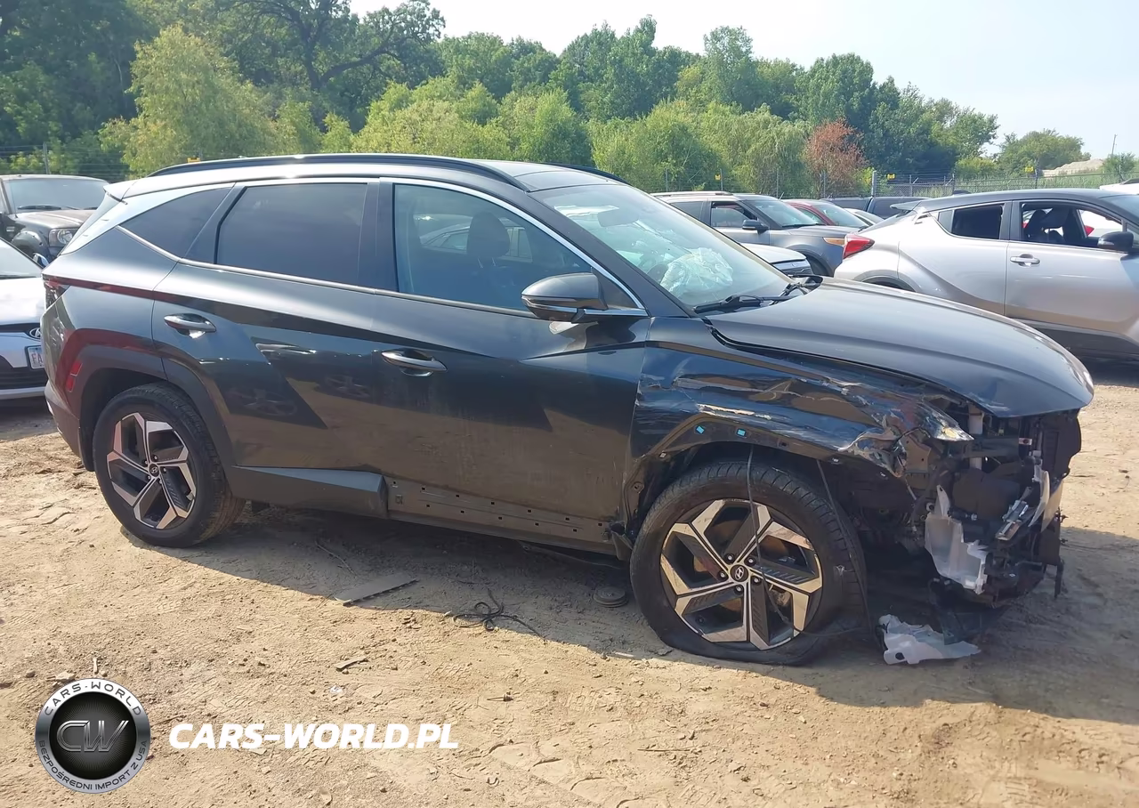 2023 Hyundai Tucson Limited VIN:5NMJECAE6PH194464 - 13