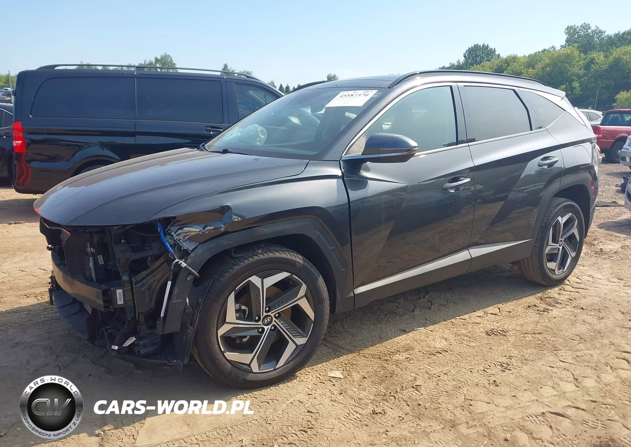 2023 Hyundai Tucson Limited VIN:5NMJECAE6PH194464 - 2