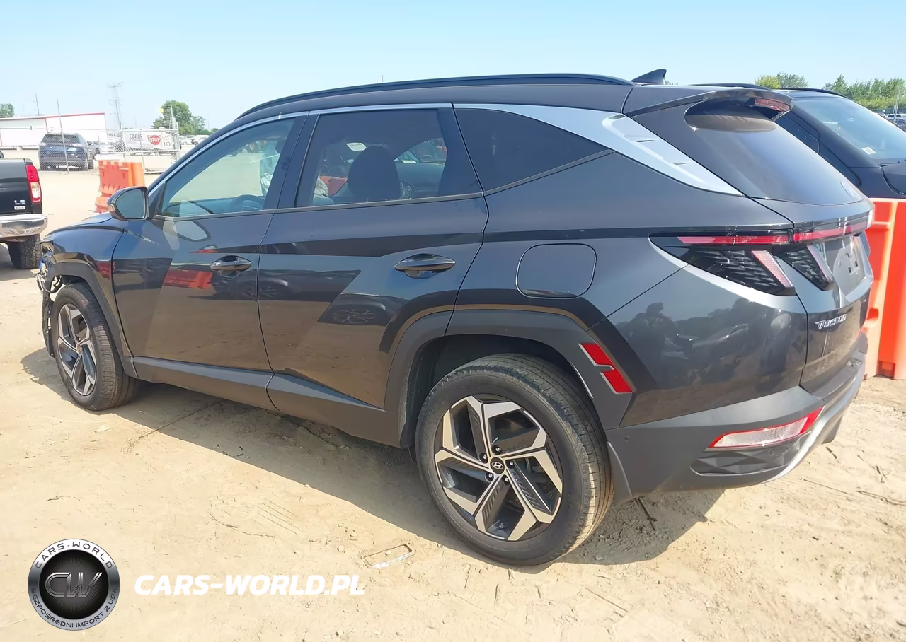 2023 Hyundai Tucson Limited VIN:5NMJECAE6PH194464 - 3