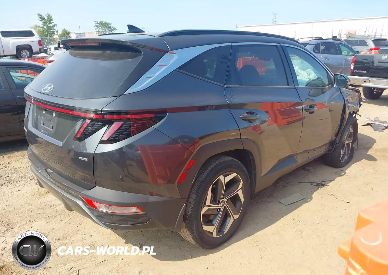 2023 Hyundai Tucson Limited VIN:5NMJECAE6PH194464 - 4