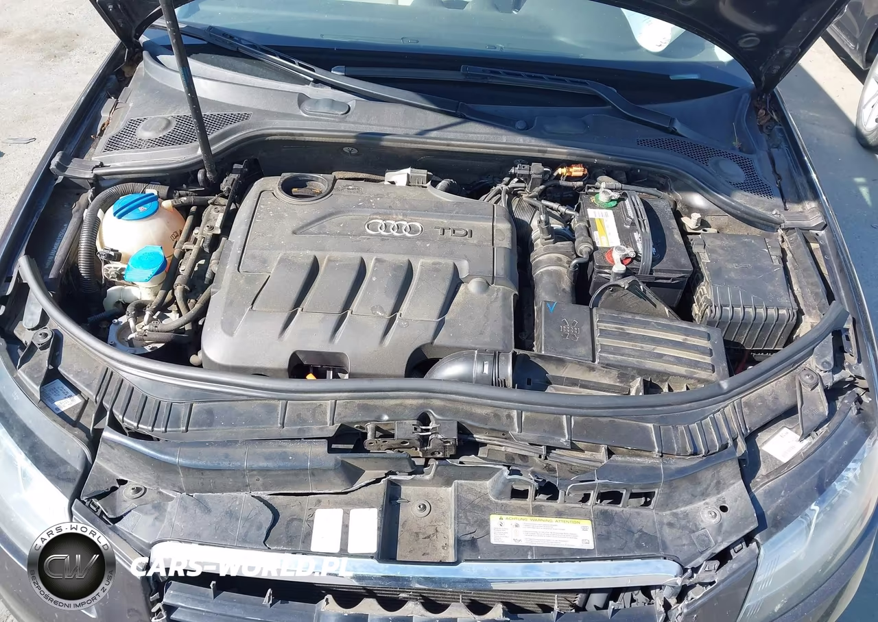 2011 Audi A3 2.0 Tdi Premium VIN:WAUBJAFM9BA125594 - 10