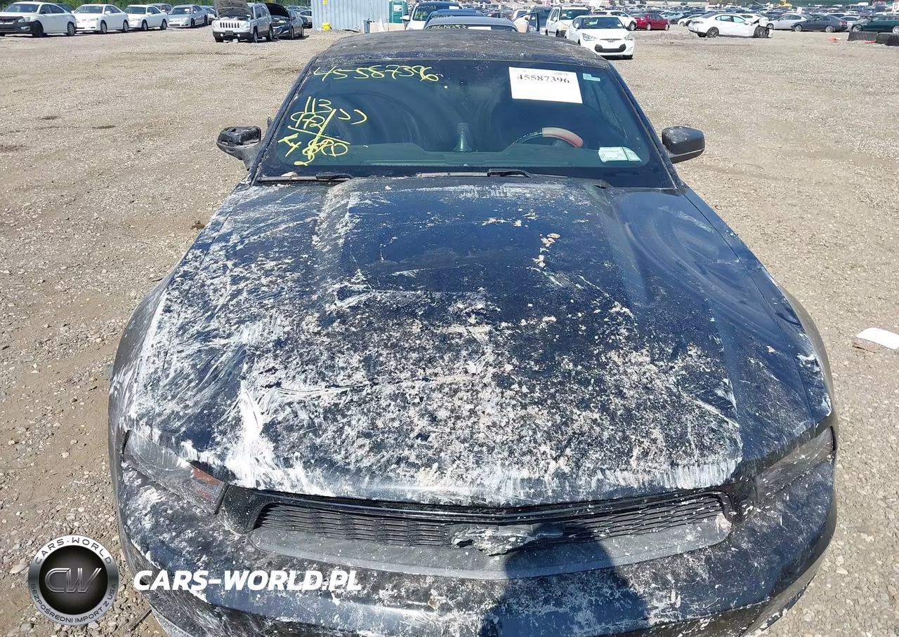2012 Ford Mustang V6 VIN:1ZVBP8EM8C5242098 - 12